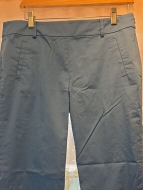 Ann Taylor Dress Pants